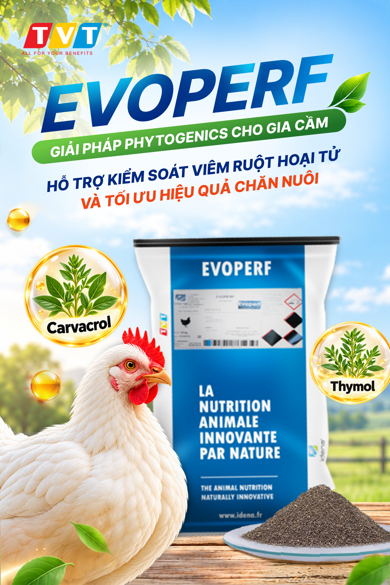 EVOPERF – GIẢI PHÁP PHYTOGENICS HỖ TRỢ KIỂM SOÁT VIÊM RUỘT HOẠI TỬ VÀ TỐI ƯU HIỆU QUẢ CHĂN NUÔI GIA CẦM
