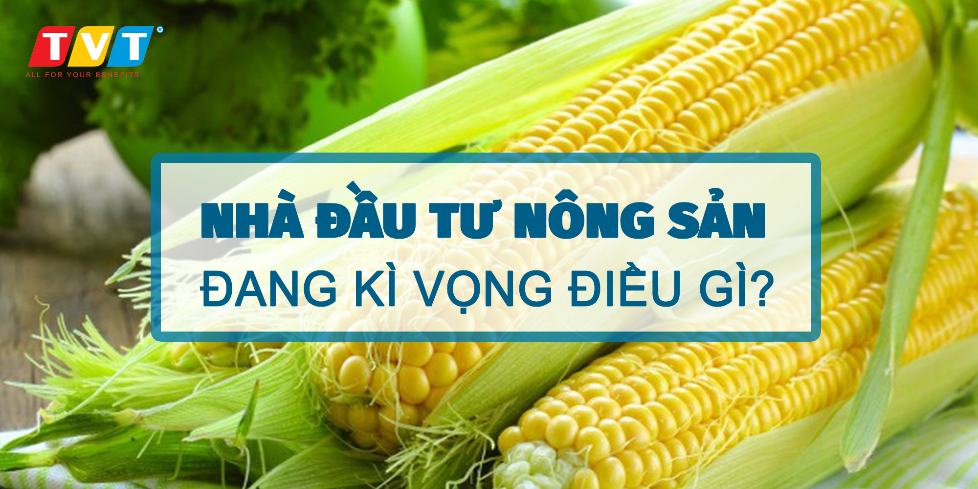 Các nhà đầu tư nông sản đang kỳ vọng điều gì trước báo cáo quan trọng của Bộ nông nghiệp Mỹ?