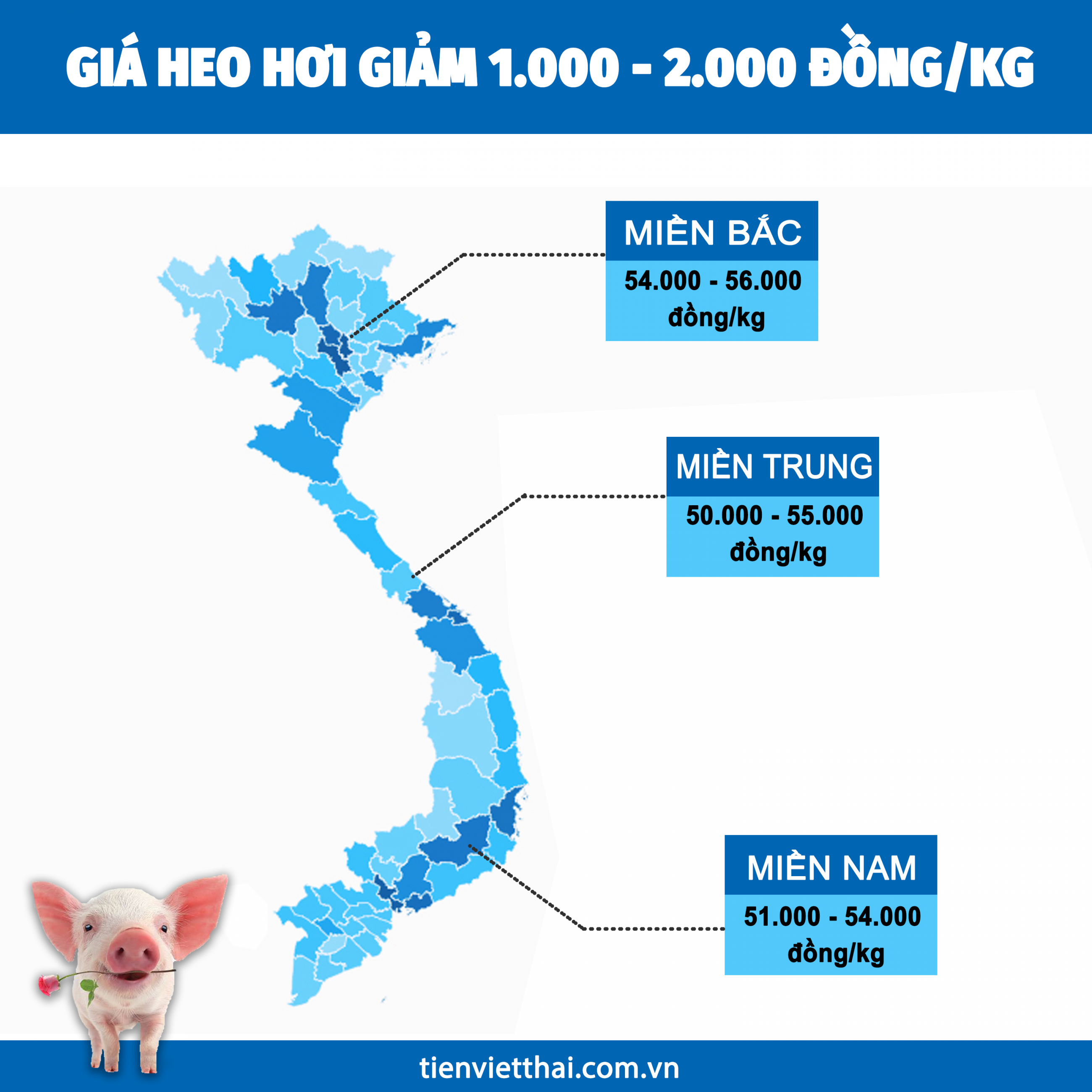 Giá heo hơi ngày 28/8/2021: 2 miền Bắc - Nam giảm 1.000 - 2.000 đồng/kg