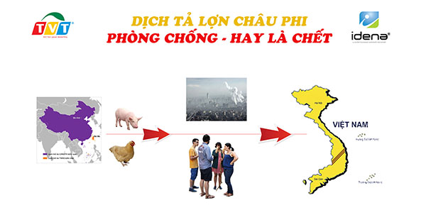 DỊCH TẢ LỢN CHÂU PHI CẬN KỀ VIỆT NAM – PHÒNG CHỐNG HAY LÀ CHẾT