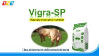 MÁCH BẠN CÁCH CHĂM HEO ĐỰC GIỐNG DỄ DÀNG HƠN BAO GIỜ HẾT