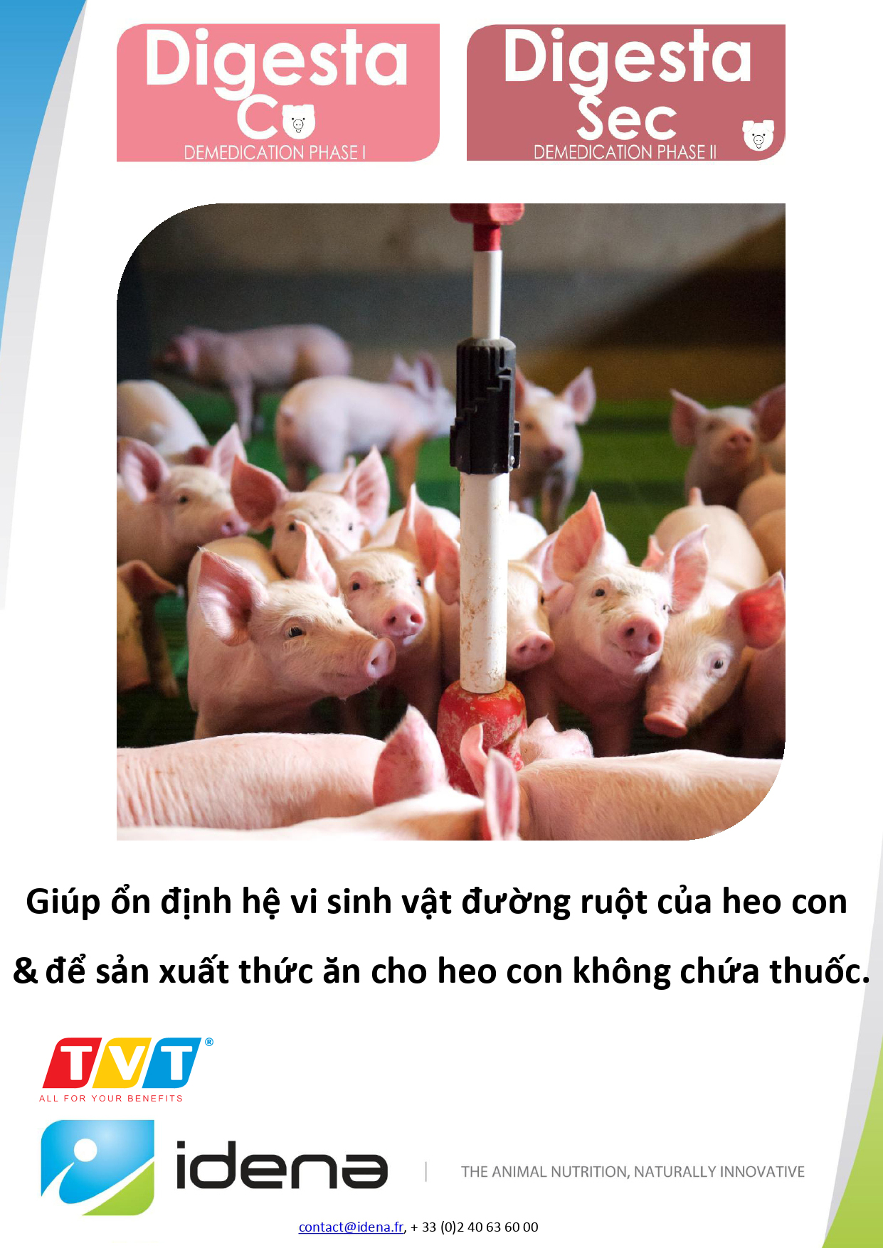 GIẢI PHÁP THAY THẾ KHÁNG SINH HƯỚNG ĐẾN MỤC TIÊU VÌ SỨC KHỎE CỘNG ĐỒNG