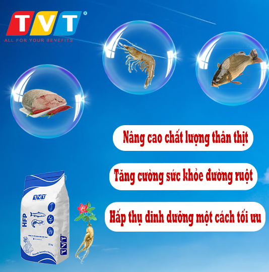 PHƯƠNG PHÁP NUÔI CÁ THỊT Ở AO NƯỚC TĨNH SỐ 1 VIỆT NAM