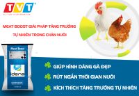 ​MEAT BOOST – BÍ QUYẾT TĂNG TRƯỞNG, RÚT NGẮN THỜI GIAN XUẤT CHUỒNG TRÊN GÀ​