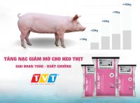 VALI MP PLUS - BÍ QUYẾT CHĂN NUÔI HEO THỊT THÔNG THÁI THỜI 4.0