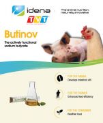 BUTINOV, MUỐI ĐỆM SODIUM BUTYRATE GỒM HỖN HỢP CHIẾT XUẤT THỰC VẬT VÀ TINH DẦU: GIÚP ĐƯỜNG RUỘT TRƯỞNG THÀNH SỚM.