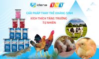 IDENA, CÔNG TY DỊCH VỤ PHÁP TẠI VIỆT NAM, HỢP TÁC CÙNG CÔNG TY TIẾN VIỆT THÁI (TVT)