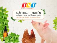 ​SỬ DỤNG TINH DẦU GIÚP GIẢI QUYẾT NHỮNG THÁCH THỨC CỦA NGÀNH CHĂN NUÔI GIA CẦM VIỆT NAM