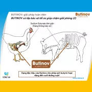 BUTINOV - GIẢI PHÁP GIÚP VẬT NUÔI HẤP THU TỐI ĐA DINH DƯỠNG