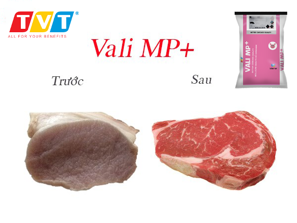 ​GIÚP THỊT NHIỀU NẠC VỚI PHỤ GIA THẢO DƯỢC VALI MP+ CỦA TẬP ĐOÀN IDENA