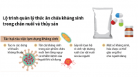 SỬ DỤNG KHÁNG SINH TRONG THỨC ĂN CHĂN NUÔI VÀ SỨC KHỎE CỘNG ĐỒNG.