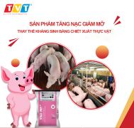 ​TĂNG NẠC GIẢM MỠ - THÁO GỠ KHÓ KHĂN GIẢM LĂN TĂN VỀ CHI PHÍ - BẬT MÍ DÙNG VALI MP+