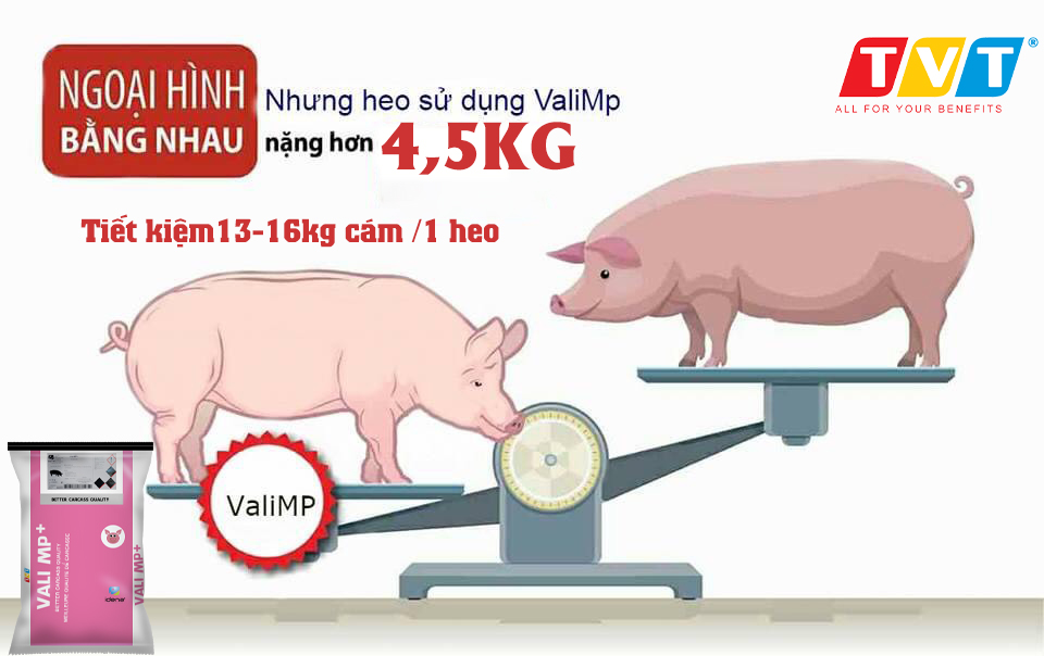 VALI MP+ NGƯỜI BẠN ĐỒNG HÀNH CỦA NHÀ NÔNG