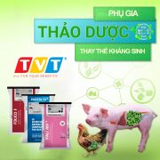 PHỤ GIA CÓ NGUỒN GỐC TỰ NHIÊN: XU HƯỚNG MỚI CHO NGÀNH CÔNG NGHIỆP SẢN XUẤT THỨC ĂN CHĂN NUÔI