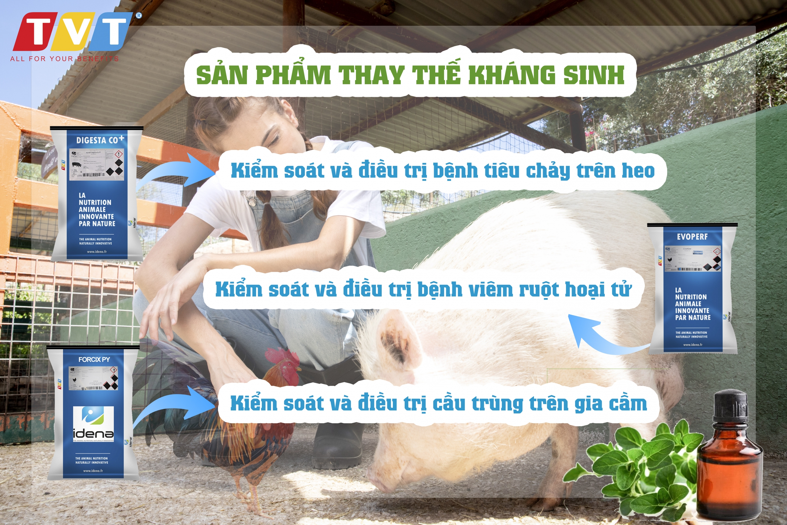 PHỤ GIA CÓ NGUỒN GỐC TỰ NHIÊN: XU HƯỚNG MỚI CHO NGÀNH CÔNG NGHIỆP SẢN XUẤT THỨC ĂN CHĂN NUÔI