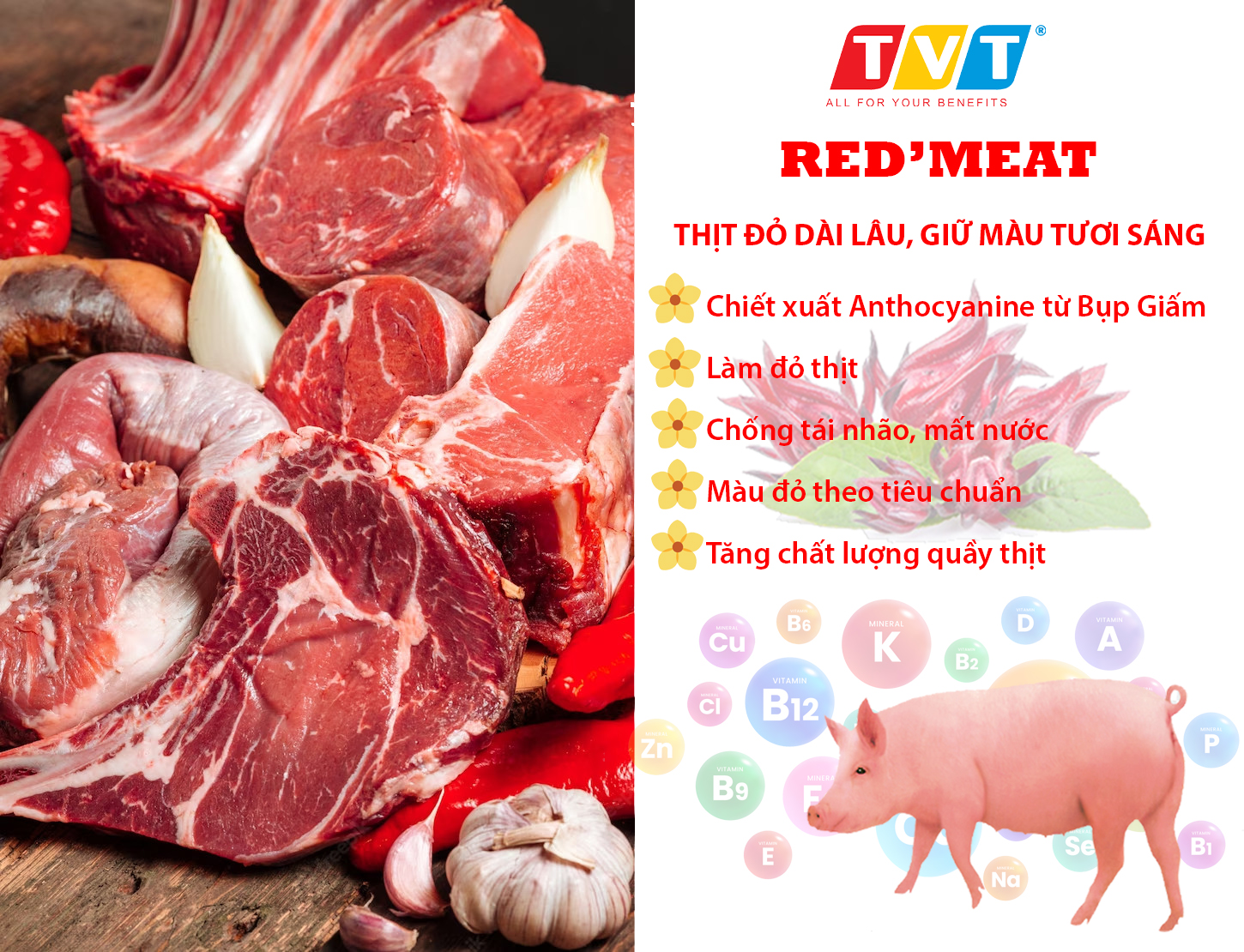 CẢI THIỆN MÀU THỊT HEO MỘT CÁCH TỰ NHIÊN NHỜ RED’MEAT