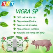 VIGRA NÂNG CAO HIỆU SUẤT CHĂN NUÔI HEO NỌC