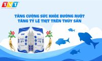 HFP – GIÚP THỦY SẢN TĂNG CƯỜNG SỨC KHỎE ĐƯỜNG RUỘT VÀ CHẤT LƯỢNG THỊT