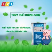 GIẢI PHÁP PHÒNG TRỊ HIỆU QUẢ DỊCH TIÊU CHẢY Ở HEO