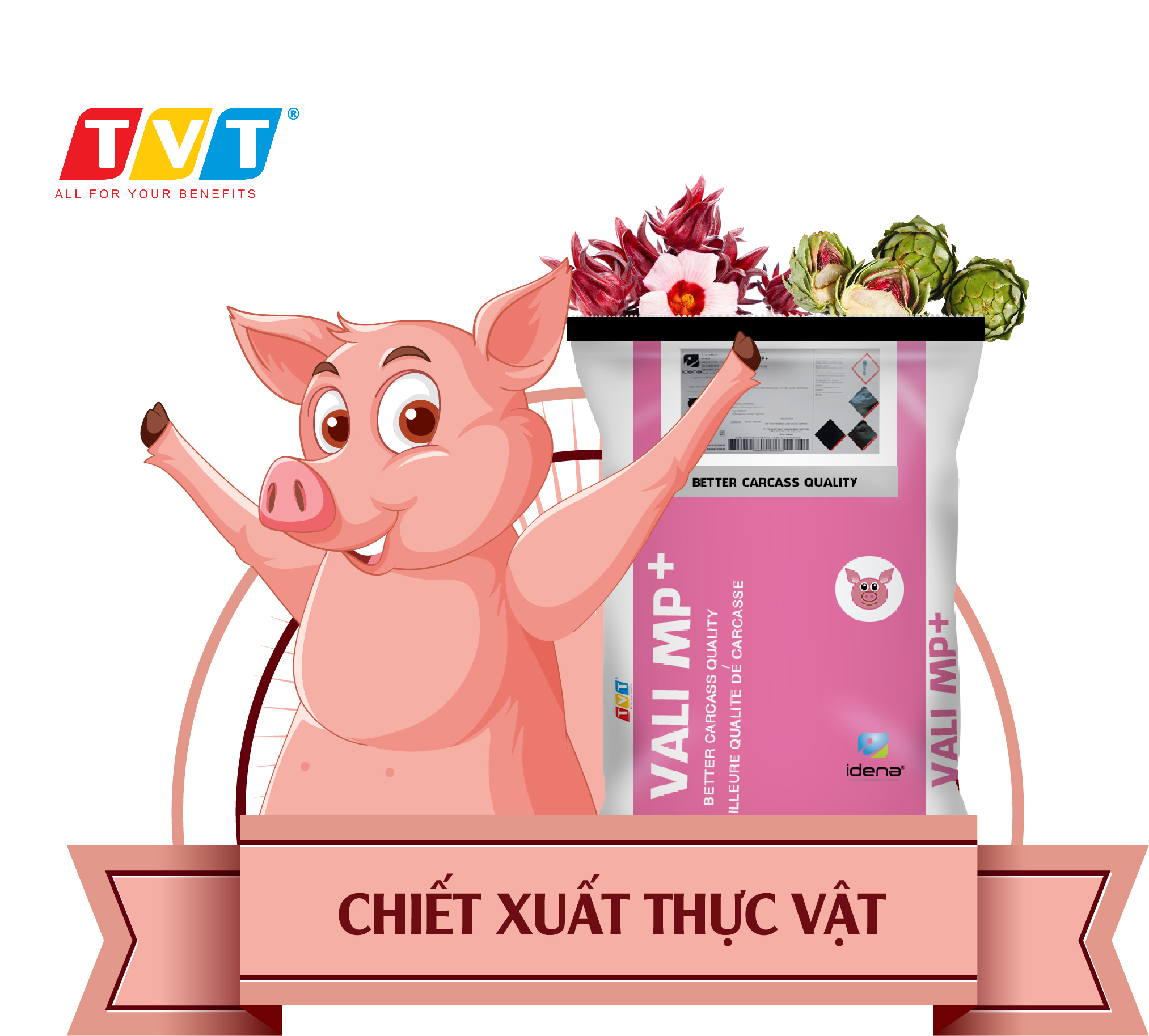 VALI MP+ TRIỆT TIÊU MỠ, GIÚP THỊT HEO NHIỀU NẠC VÀ CHỐNG TÁI NHÃO