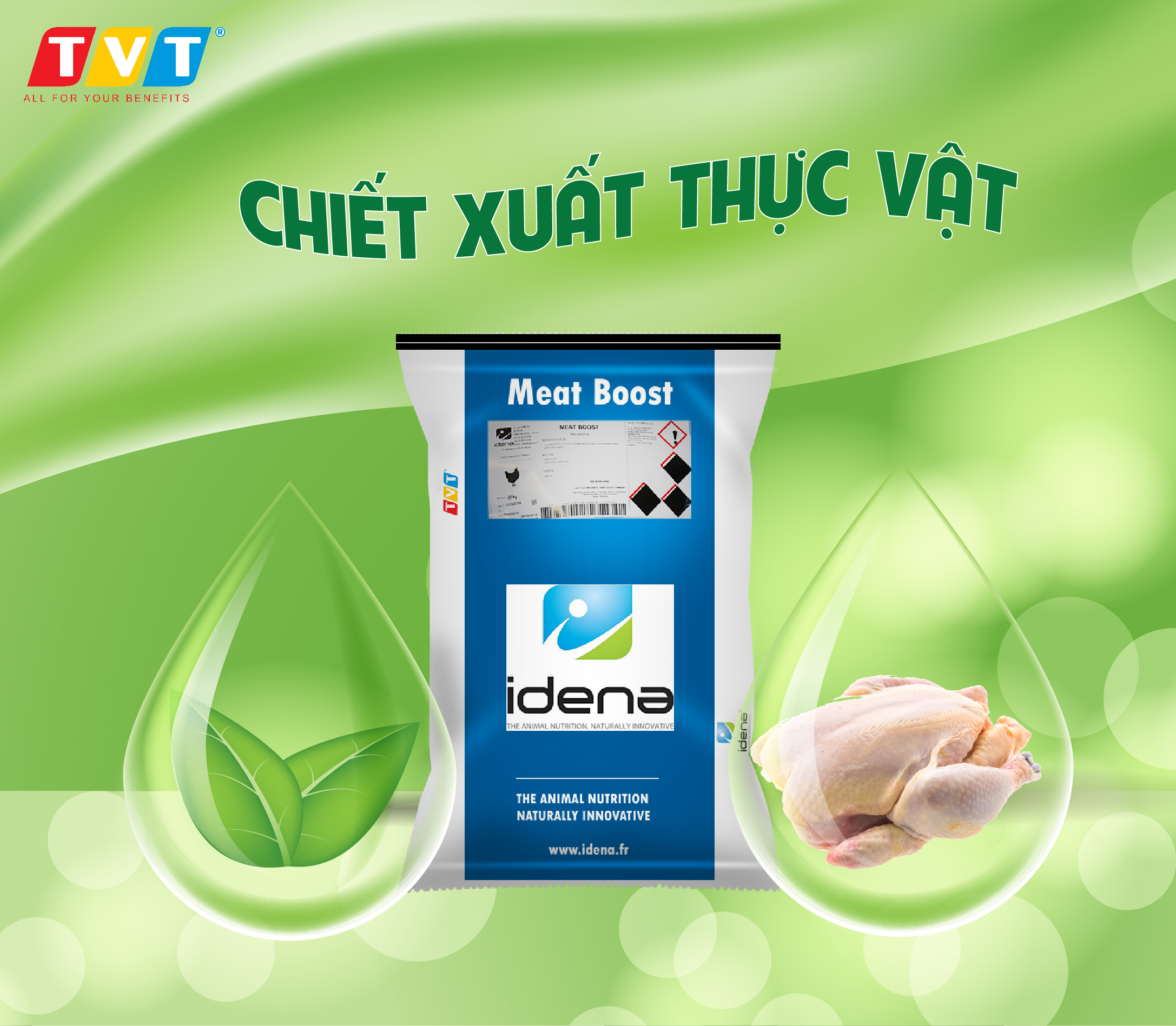 MEATBOOST– TĂNG CHẤT LƯỢNG THỊT ỨC VÀ NĂNG SUẤT GÀ THỊT