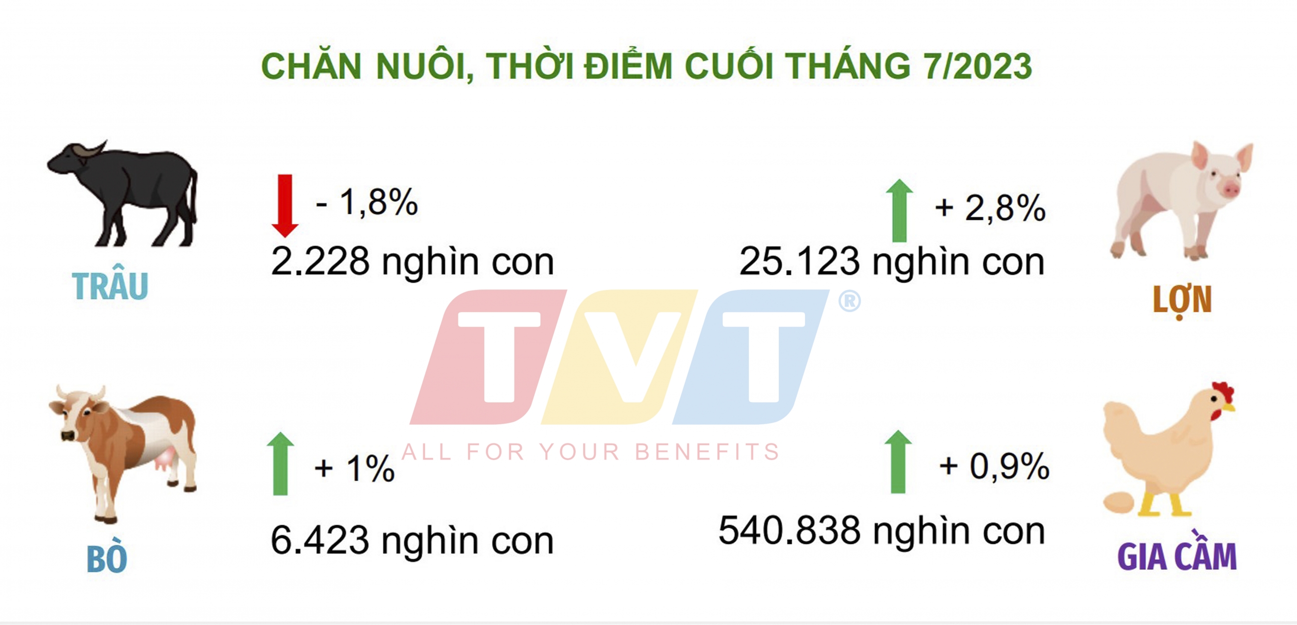 CHĂN NUÔI GIA SÚC, GIA CẦM PHÁT TRIỂN ỔN ĐỊNH TRONG THÁNG 7