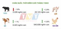 CHĂN NUÔI GIA SÚC, GIA CẦM PHÁT TRIỂN ỔN ĐỊNH TRONG THÁNG 7