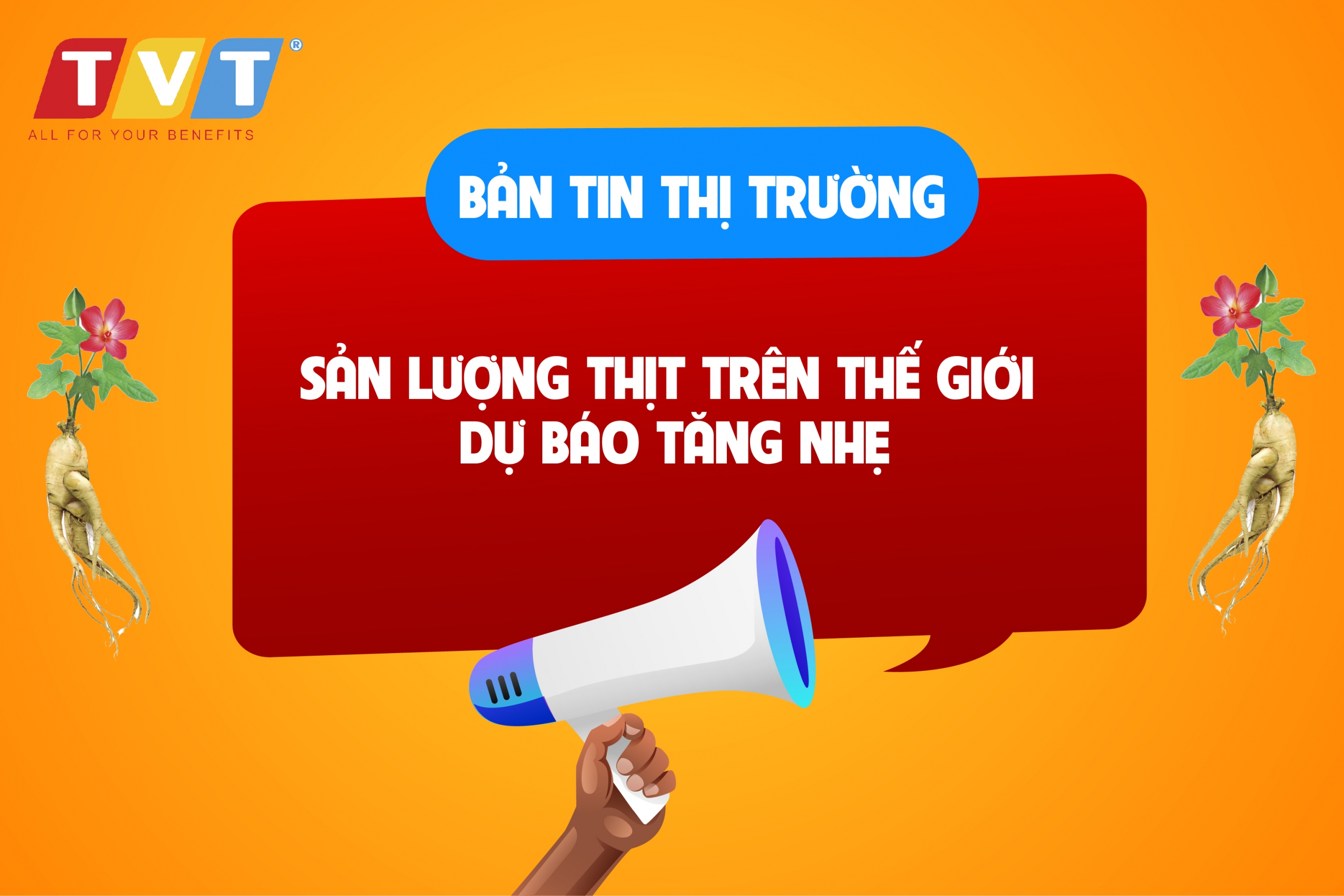 SẢN LƯỢNG THỊT TRÊN THẾ GIỚI DỰ BÁO TĂNG NHẸ