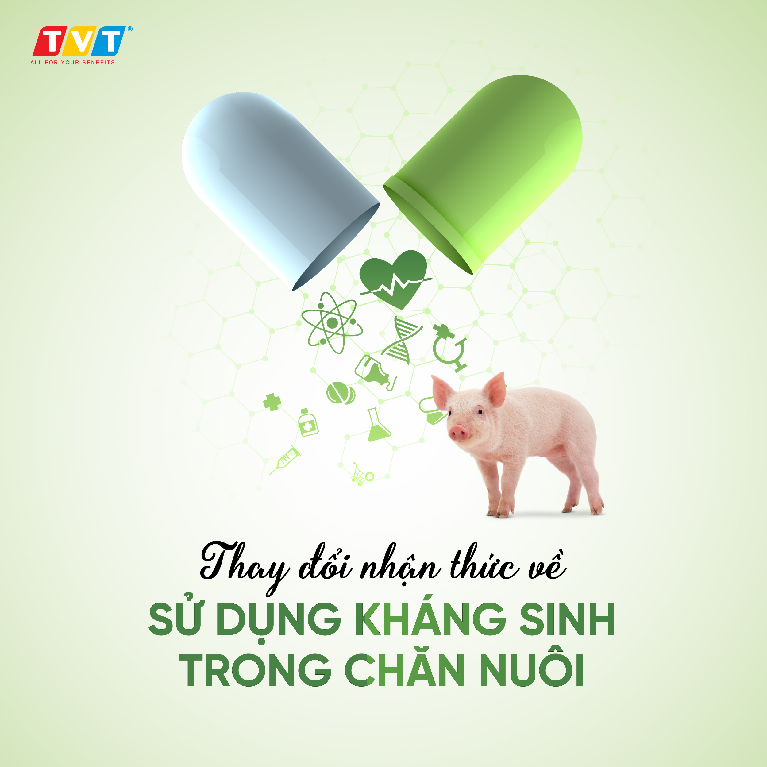 THAY ĐỔI NHẬN THỨC VỀ SỬ DỤNG KHÁNG SINH TRONG CHĂN NUÔI