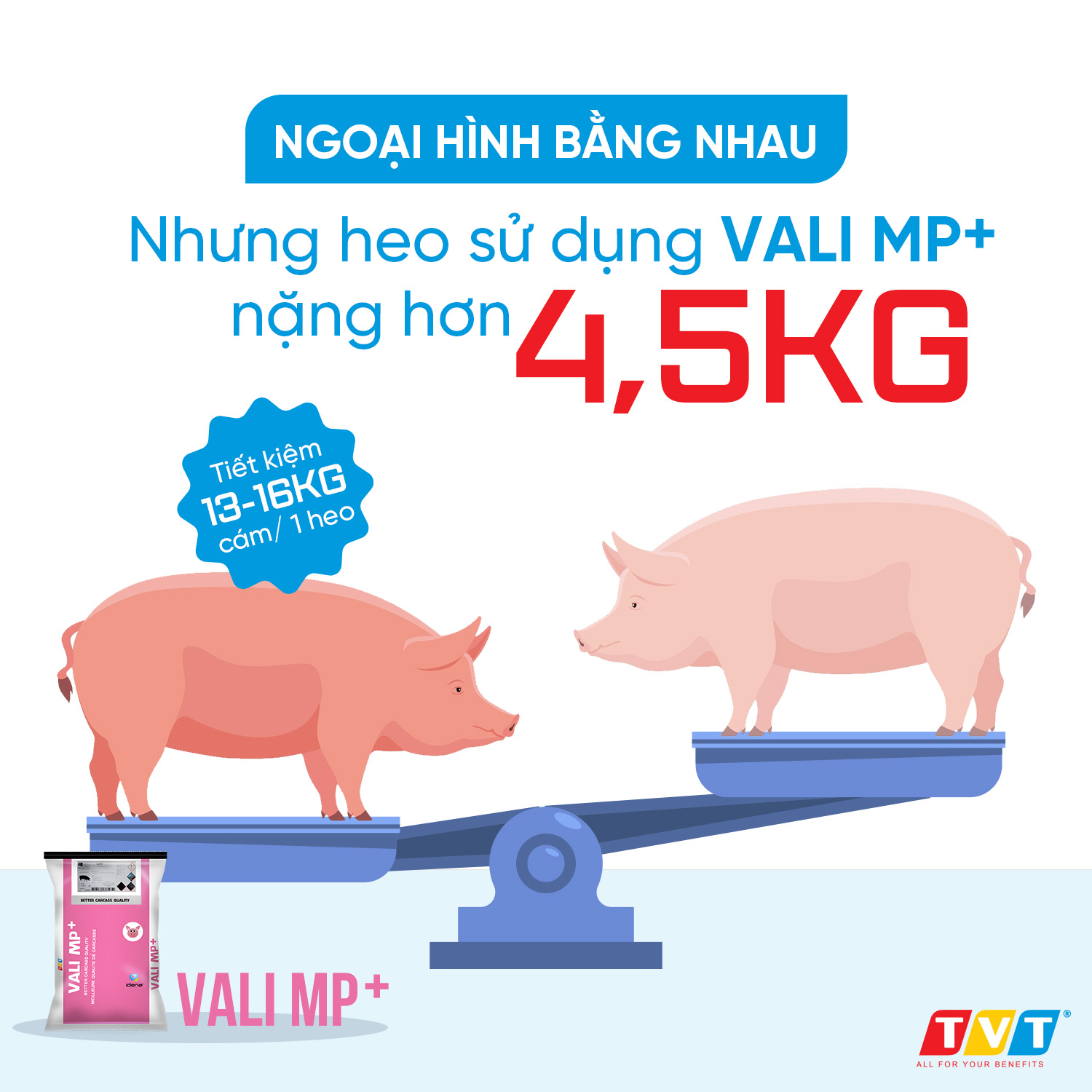 VALI MP+ thúc đẩy tăng trưởng và trọng lượng ở vật nuôi như thế nào!!!