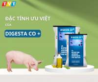 Đặc tính ưu việt của sản phẩm Digesta Co Plus