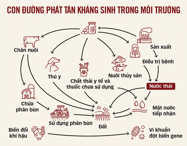 Các đơn vị sản xuất thức ăn và chăn nuôi tư nhân giữ vai trò quan trọng trong phòng, chống kháng kháng sinh.