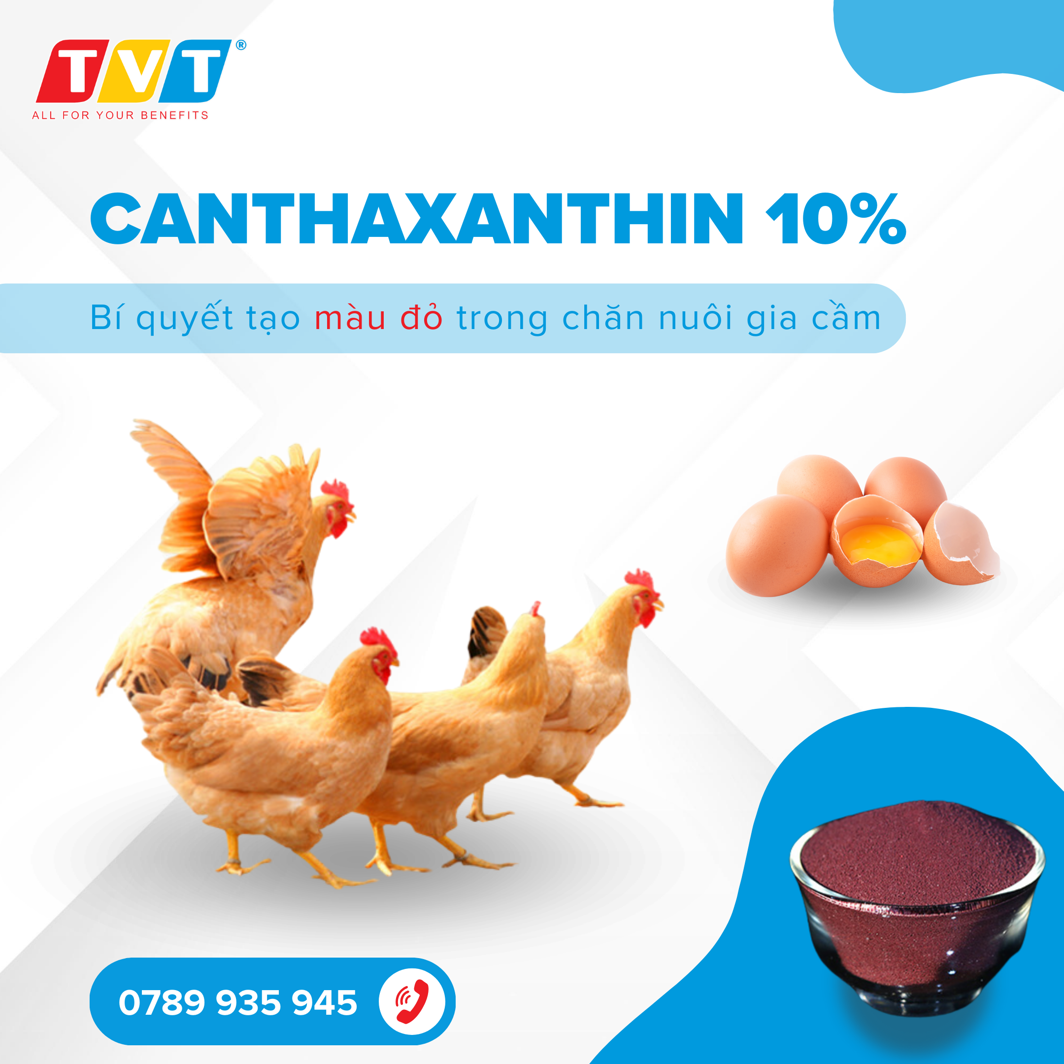 Canthaxanthin 10% - Bí quyết màu đỏ trong chăn nuôi gia cầm