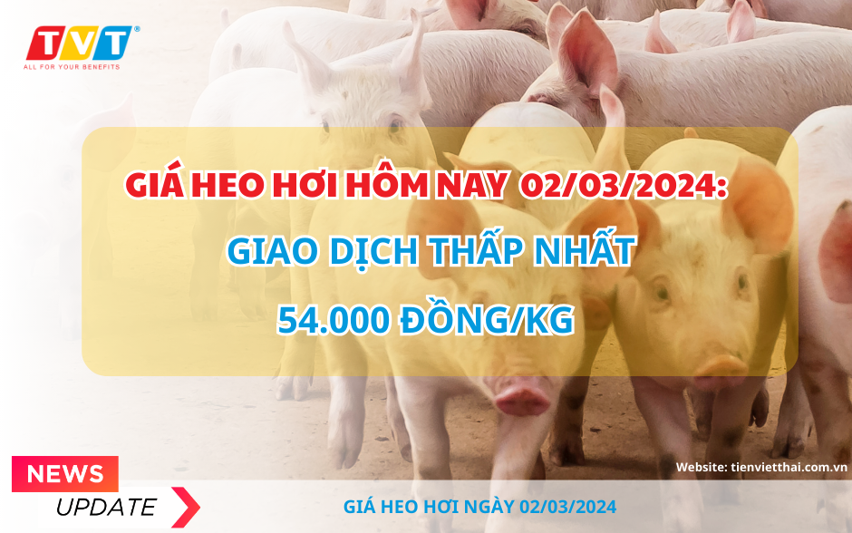 Giá heo hơi hôm nay 2/3/2024: Giao dịch thấp nhất ở 54.000 đồng/kg