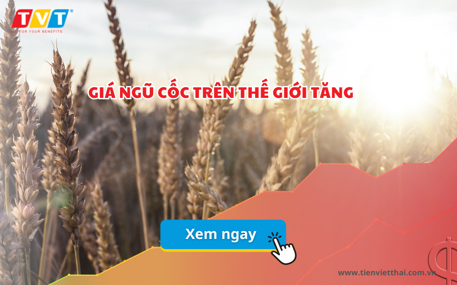 Giá ngũ cốc trên thế giới tăng