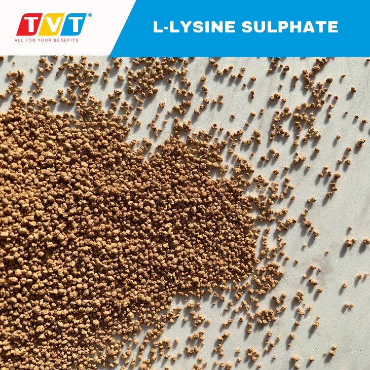 L-Lysine Sulphate 70% : Sự Quan Trọng và Ứng Dụng trong Chăn Nuôi