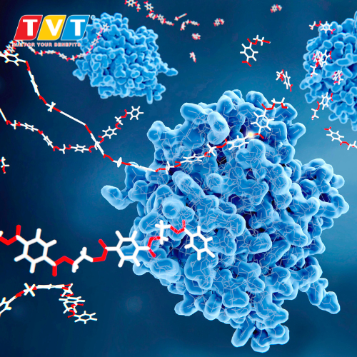 VÌ SAO BỔ SUNG ENZYME VÀO THỨC ĂN GIÚP CẢI THIỆN LỢI NHUẬN?