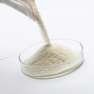 TÁC ĐỘNG HIỆP LỰC: ENZYME XYLANASE TRONG THỨC ĂN CHĂN NUÔI