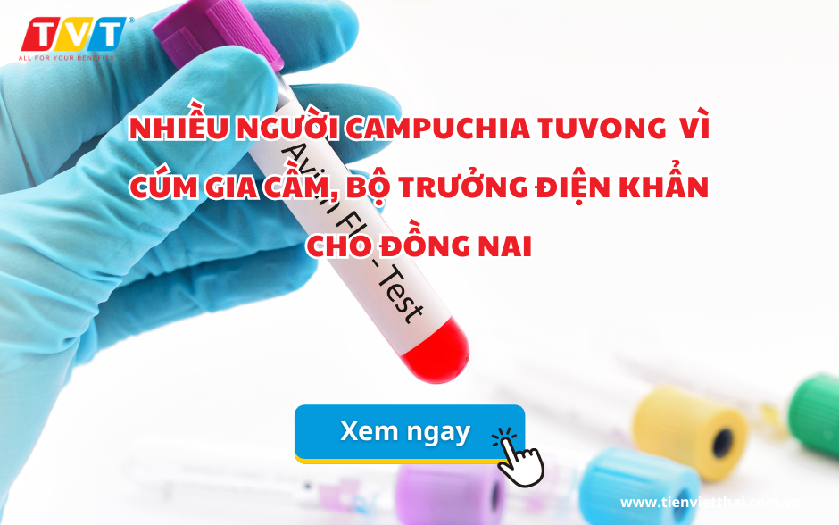 Nhiều người Campuchia tử vong vì cúm gia cầm, Bộ trưởng điện khẩn cho Đồng Nai