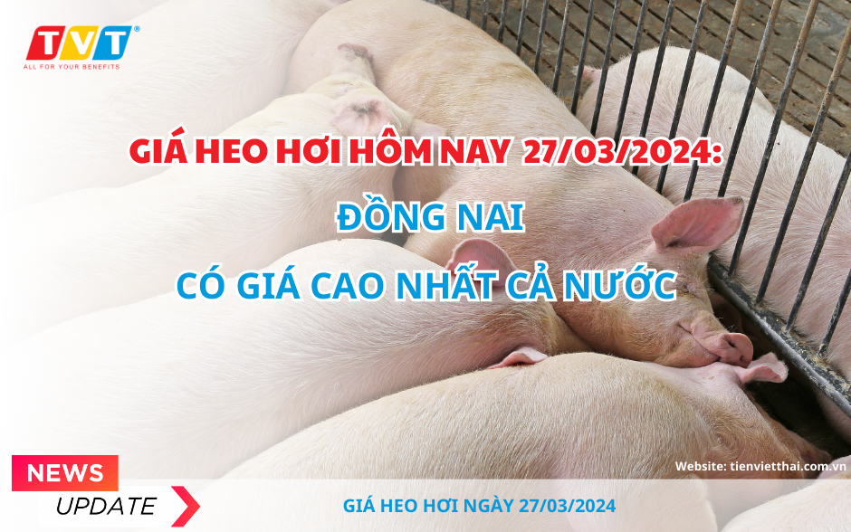 Ngày 27/3, giá lợn hơi tại 1 số tỉnh thành giảm nhẹ 1.000 đồng/kg