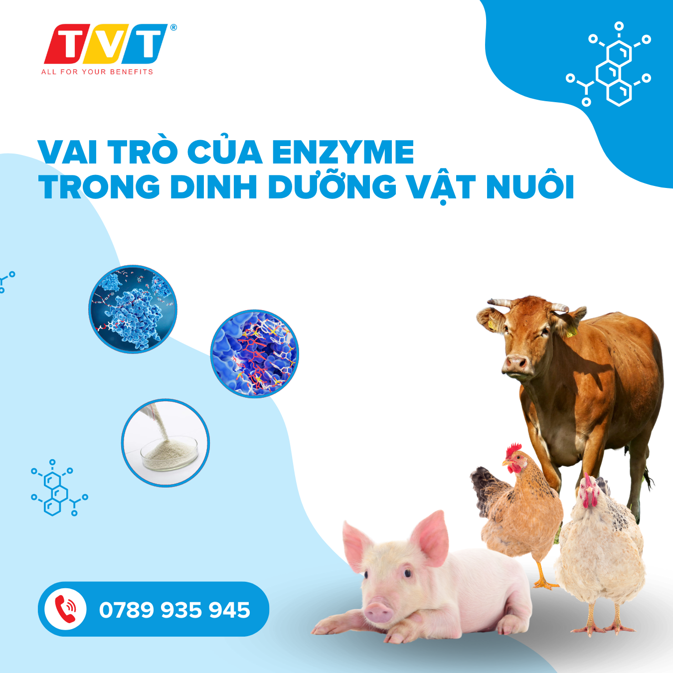 VAI TRÒ CỦA ENZYME TRONG DINH DƯỠNG VẬT NUÔI