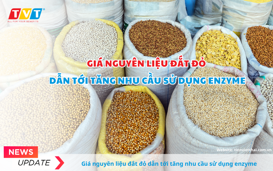 Giá nguyên liệu đắt đỏ dẫn tới tăng nhu cầu sử dụng enzyme