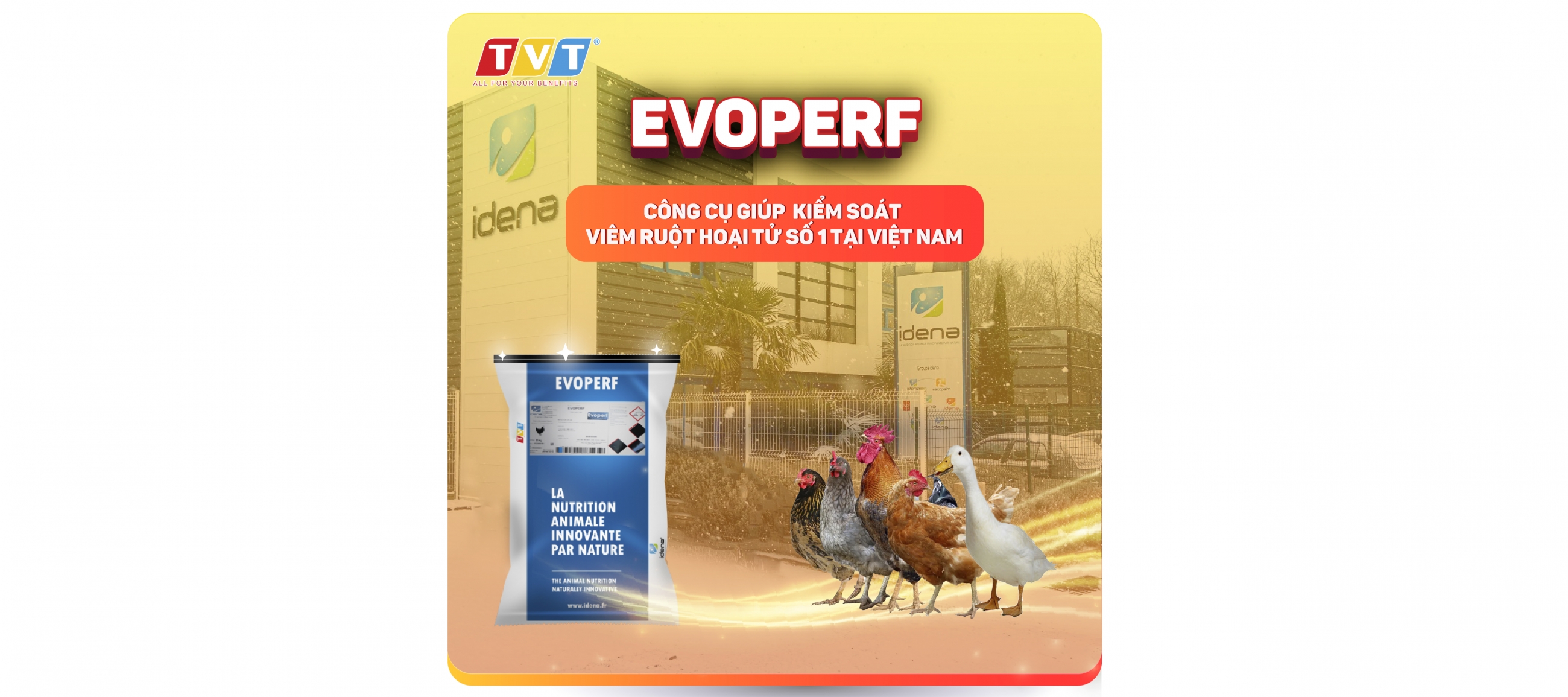 EVOPERF - CÔNG CỤ KIỂM SOÁT VIÊM RUỘT HOẠI TỬ SỐ 1 TẠI VIỆT NAM