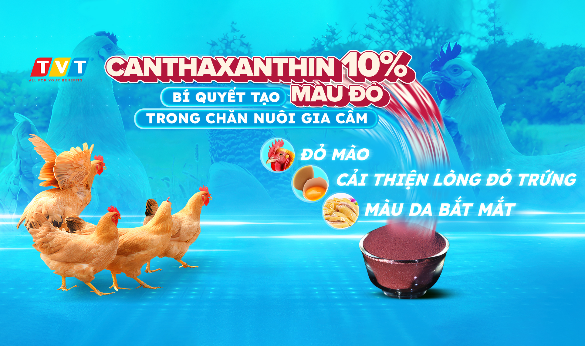 CANTHAXATHIN 10% - BIẾN ĐỘNG GIÁ TĂNG ĐỘT NGỘT