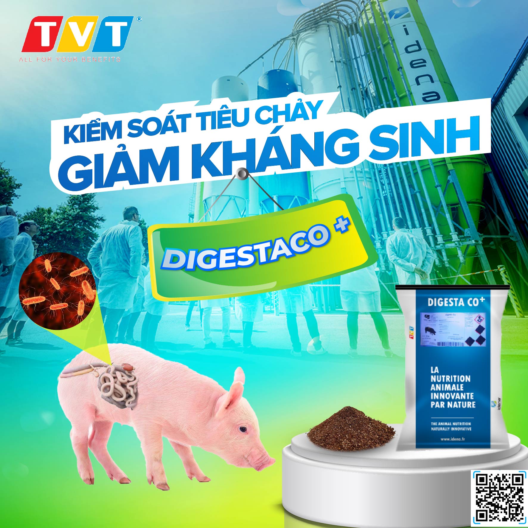 DIGESTACO – HỖ TRỢ GIẢM KHÁNG SINH GIÚP KIỂM SOÁT BỆNH TIÊU CHẢY CHO HEO CON