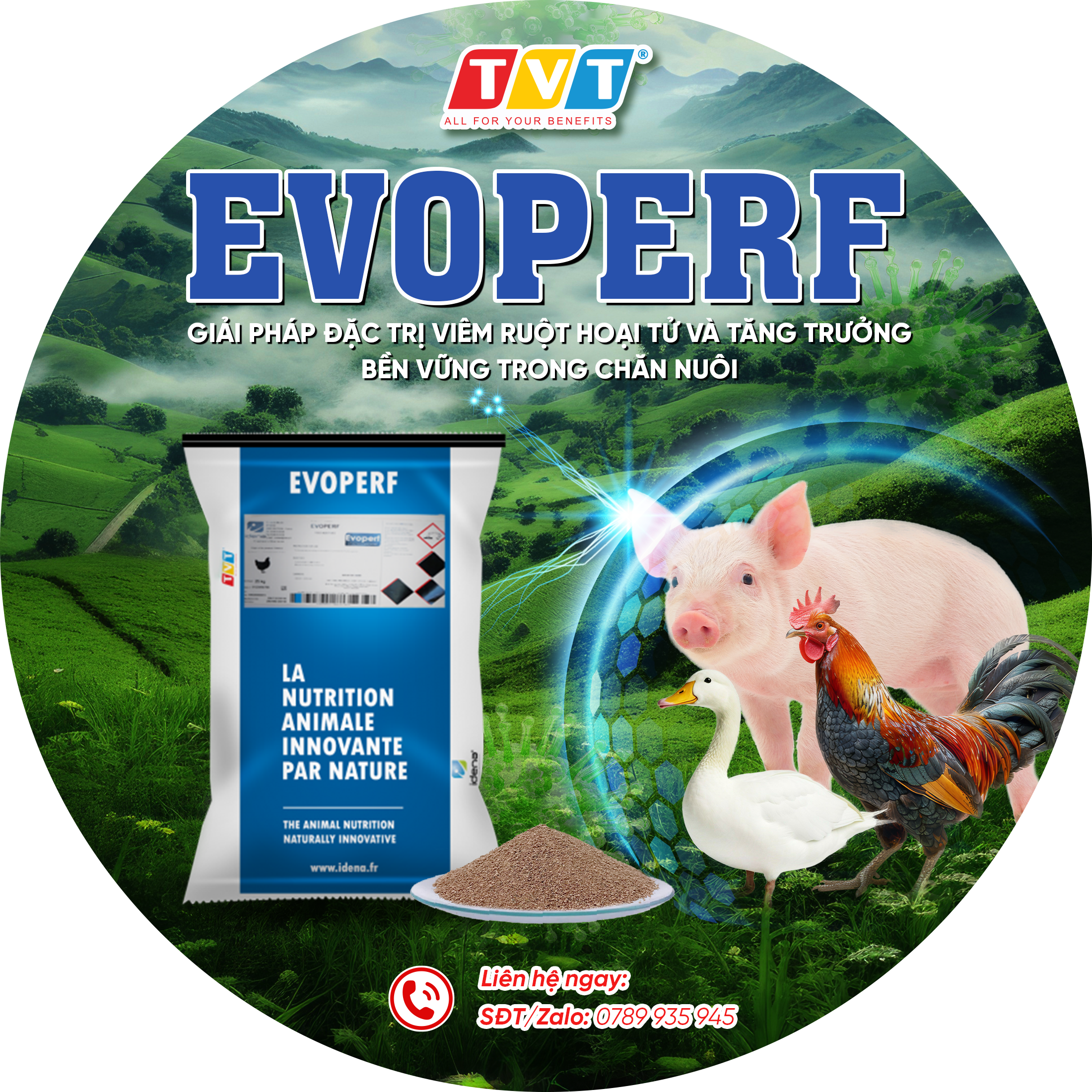 CÔNG TY CỔ PHẦN TIẾN VIỆT THÁI
