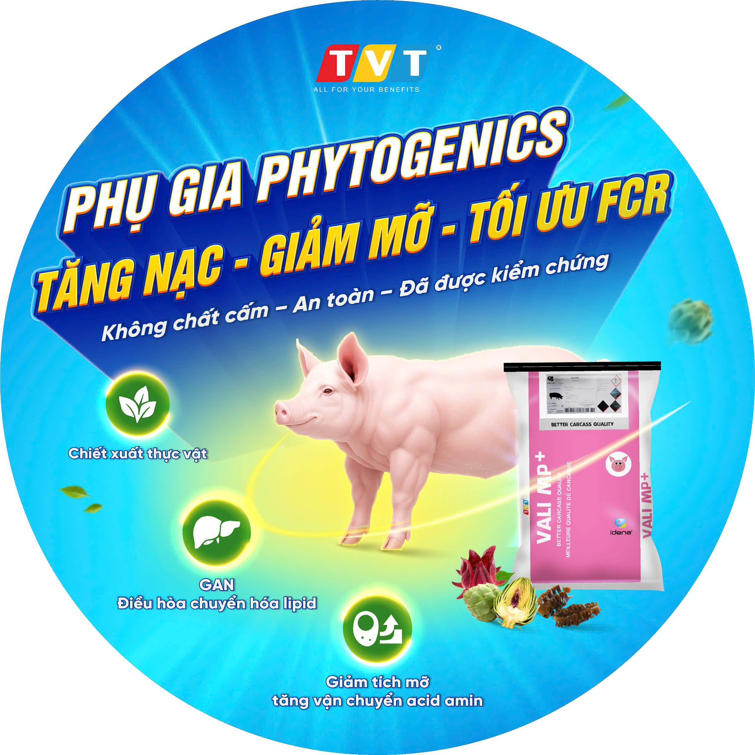 CÔNG TY CỔ PHẦN TIẾN VIỆT THÁI
