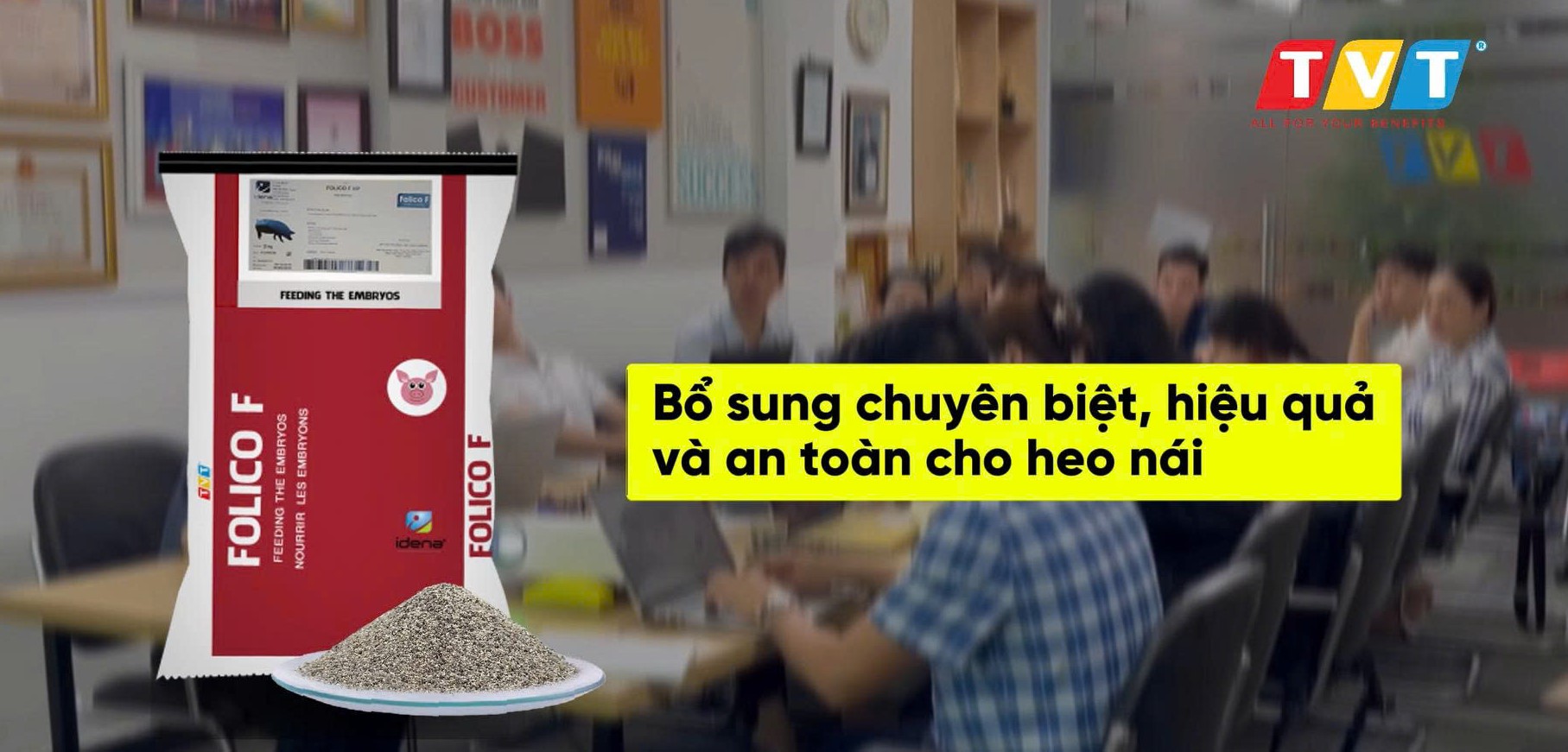 FOLICO F – CHÌA KHÓA KÍCH HOẠT SINH SẢN CHO HEO NÁI