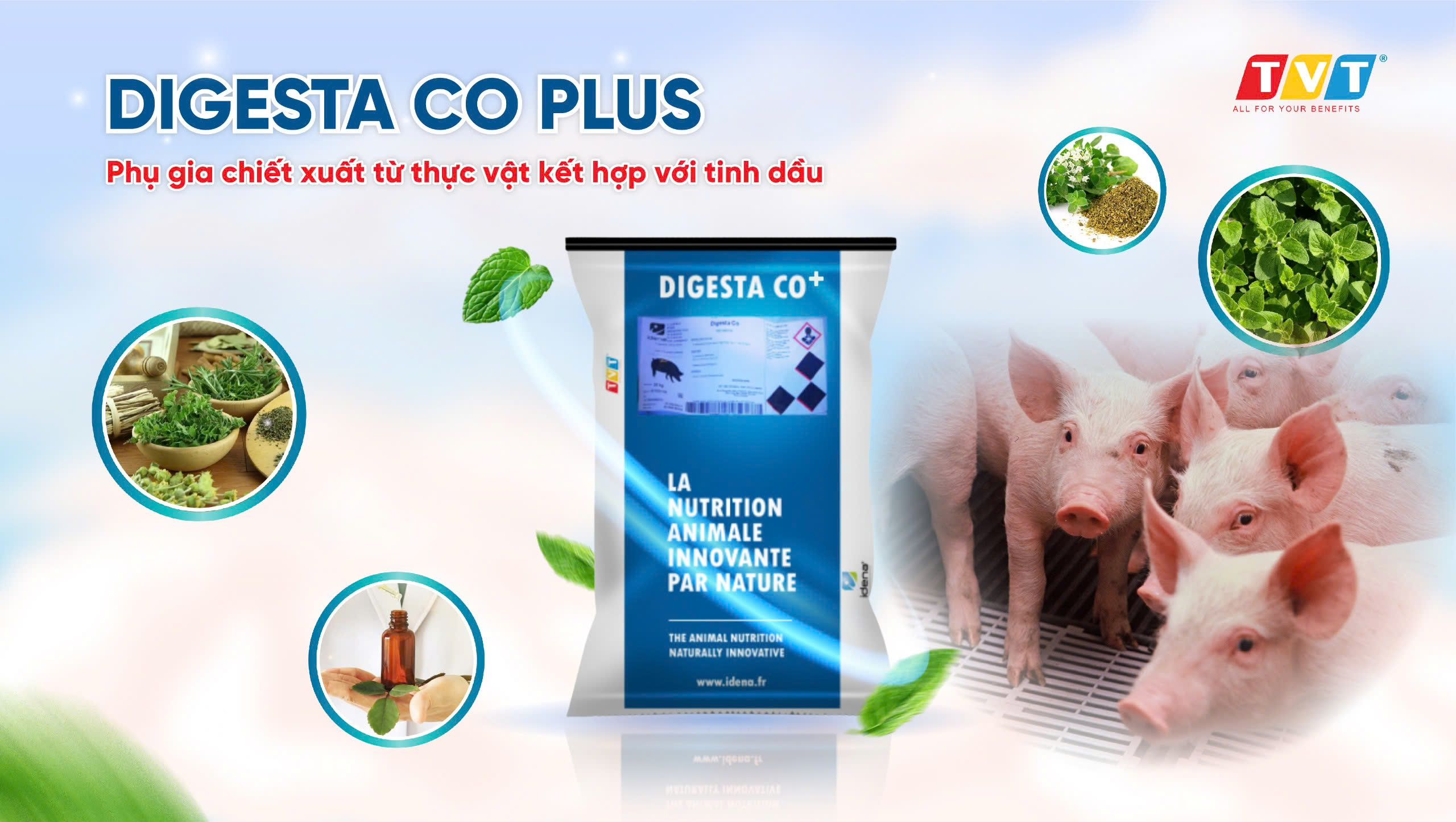 DIGESTA CO+ – GIẢI PHÁP AN TOÀN KIỂM SOÁT TIÊU CHẢY HẬU CAI SỮA