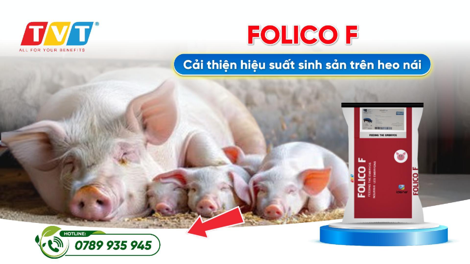 Đào tạo tại TVT Group không chỉ để biết – mà để bán hàng hiệu quả!